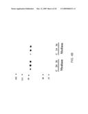 COMPOSITIONS AND METHODS FOR TREATING DIABETIC EYE DISEASE diagram and image