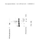 COMPOSITIONS AND METHODS FOR TREATING DIABETIC EYE DISEASE diagram and image