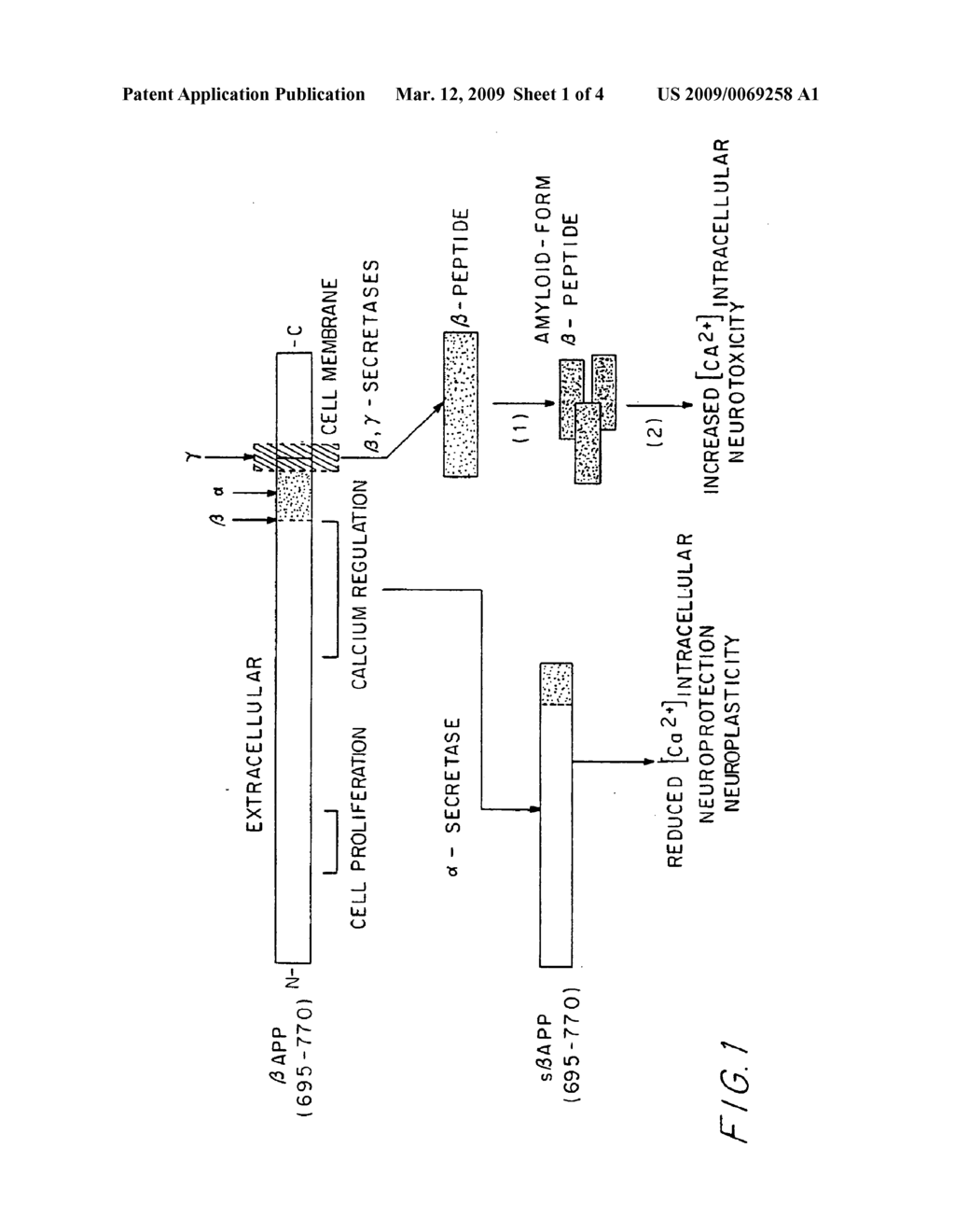 RECOMBINANT ANTIBODIES SPECIFIC FOR BETA-AMYLOID ENDS, DNA ENCODING AND METHODS OF USE THEREOF - diagram, schematic, and image 02