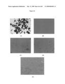 Ansamycin formulations and methods of use thereof diagram and image