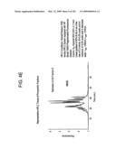 Epicatechin and vasodilation diagram and image