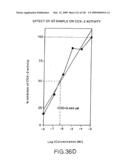 Epicatechin and vasodilation diagram and image