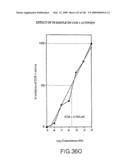 Epicatechin and vasodilation diagram and image