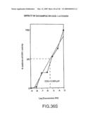 Epicatechin and vasodilation diagram and image