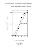 Epicatechin and vasodilation diagram and image