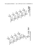 Epicatechin and vasodilation diagram and image