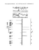 Epicatechin and vasodilation diagram and image