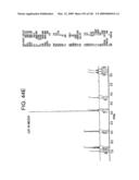 Epicatechin and vasodilation diagram and image