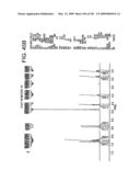 Epicatechin and vasodilation diagram and image