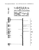 Epicatechin and vasodilation diagram and image