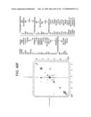 Epicatechin and vasodilation diagram and image