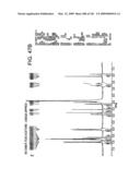 Epicatechin and vasodilation diagram and image