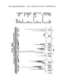 Epicatechin and vasodilation diagram and image