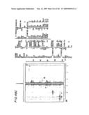 Epicatechin and vasodilation diagram and image