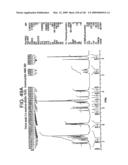 Epicatechin and vasodilation diagram and image