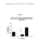 Epicatechin and vasodilation diagram and image