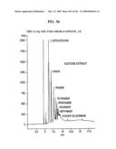 Epicatechin and vasodilation diagram and image