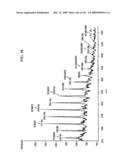 Epicatechin and vasodilation diagram and image