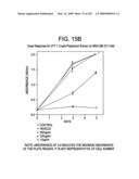 Epicatechin and vasodilation diagram and image