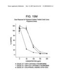 Epicatechin and vasodilation diagram and image