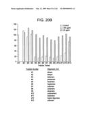 Epicatechin and vasodilation diagram and image