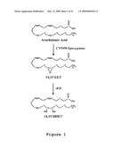 Compositions and Methods for the Treatment of Disorders Associated with Aberrant Vasodilation diagram and image