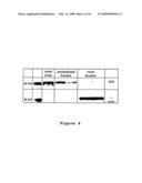 Compositions and Methods for the Treatment of Disorders Associated with Aberrant Vasodilation diagram and image