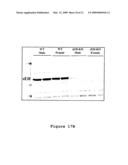 Compositions and Methods for the Treatment of Disorders Associated with Aberrant Vasodilation diagram and image