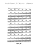 Androgen regulated prostate specific nucleic acids diagram and image