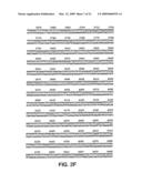 Androgen regulated prostate specific nucleic acids diagram and image