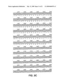 Androgen regulated prostate specific nucleic acids diagram and image