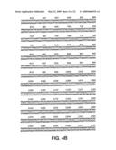 Androgen regulated prostate specific nucleic acids diagram and image