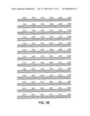 Androgen regulated prostate specific nucleic acids diagram and image