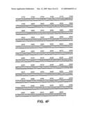 Androgen regulated prostate specific nucleic acids diagram and image