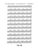 Androgen regulated prostate specific nucleic acids diagram and image