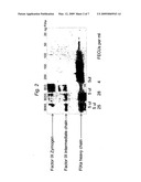 Factor IXa for the treatment of bleeding disorders diagram and image