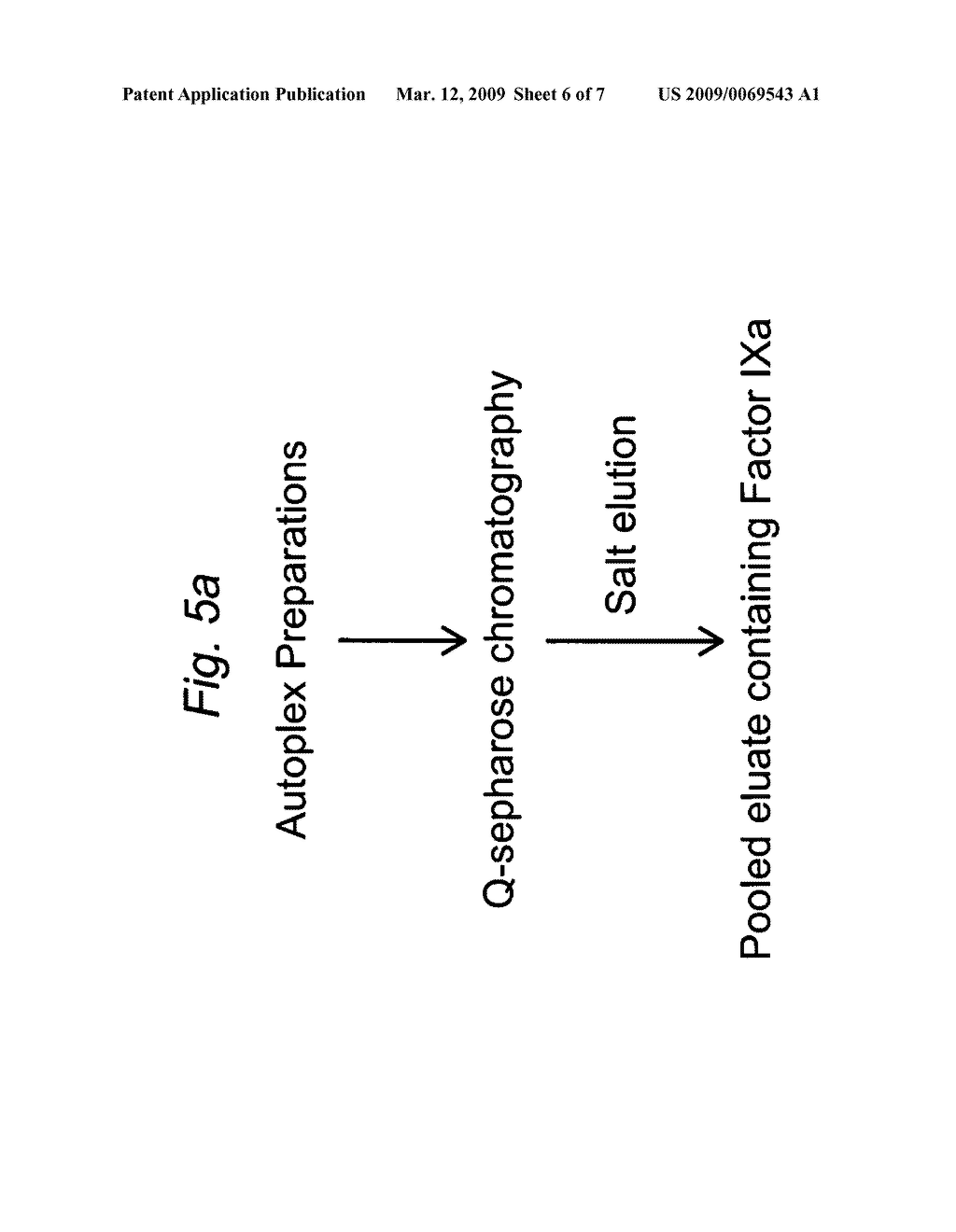 Factor IXa for the treatment of bleeding disorders - diagram, schematic, and image 07