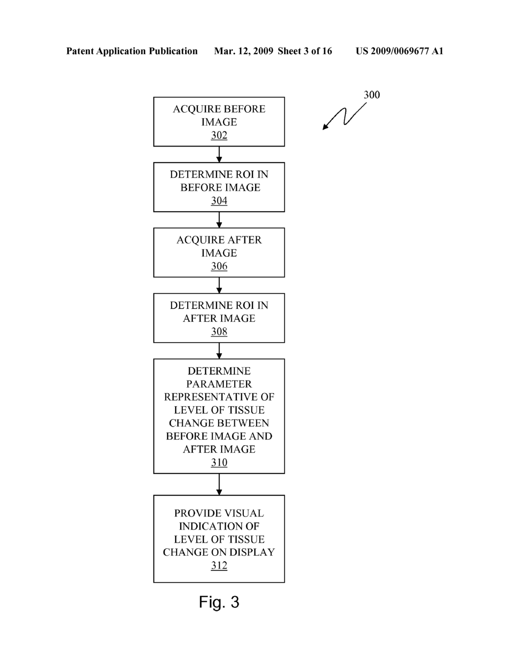 SYSTEM AND METHOD FOR TISSUE CHANGE MONITORING DURING HIFU TREATMENT - diagram, schematic, and image 04