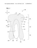 BODY ADHERING ABSORBENT ARTICLE AND METHOD FOR DONNING SUCH ARTICLE diagram and image