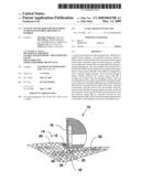 System And Method For Delivering Fluid Into Flexible Biological Barrier diagram and image