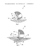 System And Method For Delivering Fluid Into Flexible Biological Barrier diagram and image