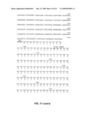 VACUOLE TARGETING PEPTIDE AND NUCLEIC ACID diagram and image