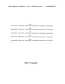 VACUOLE TARGETING PEPTIDE AND NUCLEIC ACID diagram and image