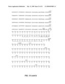 VACUOLE TARGETING PEPTIDE AND NUCLEIC ACID diagram and image