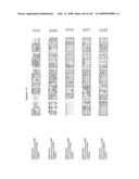 Phenylpropanoid related regulatory protein-regulatory region associations diagram and image