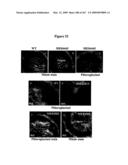 Phenylpropanoid related regulatory protein-regulatory region associations diagram and image