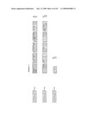 Phenylpropanoid related regulatory protein-regulatory region associations diagram and image