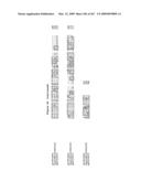 Phenylpropanoid related regulatory protein-regulatory region associations diagram and image