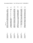 Phenylpropanoid related regulatory protein-regulatory region associations diagram and image