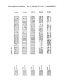 Phenylpropanoid related regulatory protein-regulatory region associations diagram and image